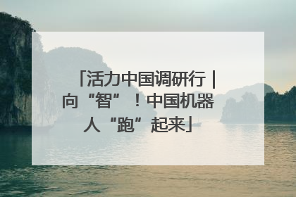 活力中国调研行｜向“智”！中国机器人“跑”起来