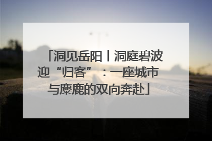 洞见岳阳丨洞庭碧波迎“归客”：一座城市与麋鹿的双向奔赴