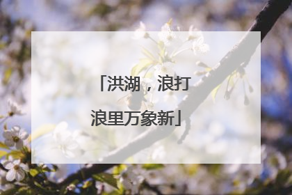 洪湖，浪打浪里万象新