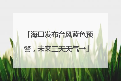 海口发布台风蓝色预警，未来三天天气→