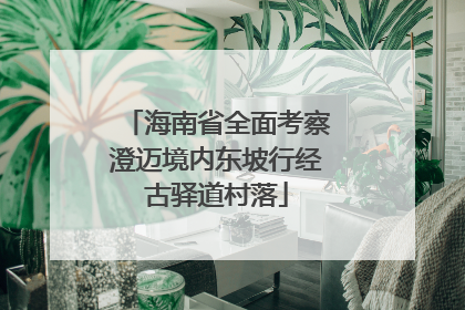 海南省全面考察澄迈境内东坡行经古驿道村落