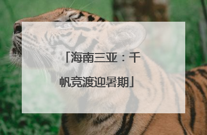 海南三亚：千帆竞渡迎暑期
