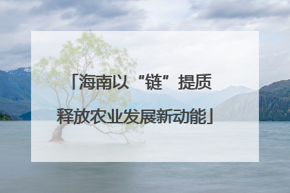 海南以“链”提质 释放农业发展新动能