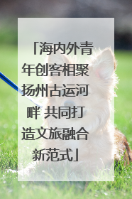 海内外青年创客相聚扬州古运河畔 共同打造文旅融合新范式