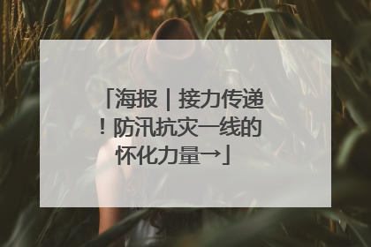 海报｜接力传递！防汛抗灾一线的怀化力量→