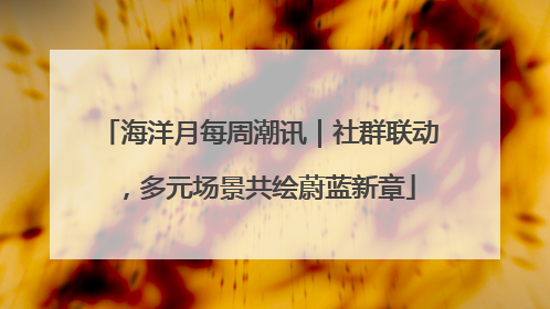 海洋月每周潮讯｜社群联动，多元场景共绘蔚蓝新章
