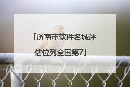 济南市软件名城评估位列全国第7