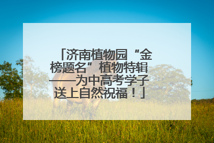 济南植物园“金榜题名”植物特辑——为中高考学子送上自然祝福！