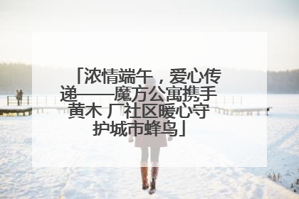 浓情端午，爱心传递——魔方公寓携手黄木 厂社区暖心守护城市蜂鸟