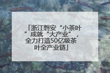 浙江磐安“小茶叶”成就“大产业”，全力打造50亿级茶叶全产业链