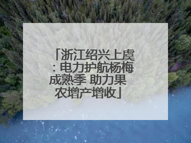 浙江绍兴上虞：电力护航杨梅成熟季 助力果农增产增收