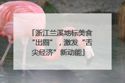浙江兰溪地标美食“出圈”，激发“舌尖经济”新动能