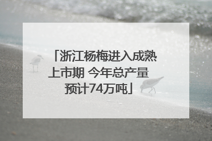 浙江杨梅进入成熟上市期 今年总产量预计74万吨