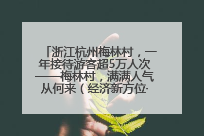 浙江杭州梅林村，一年接待游客超5万人次——梅林村，满满人气从何来（经济新方位·农村消费观察）