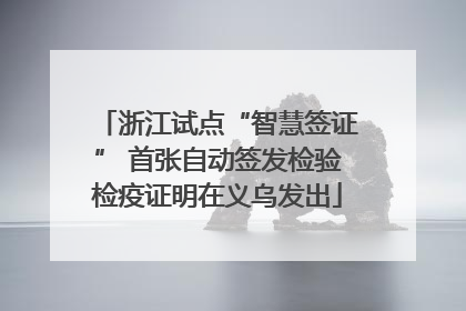 浙江试点“智慧签证” 首张自动签发检验检疫证明在义乌发出