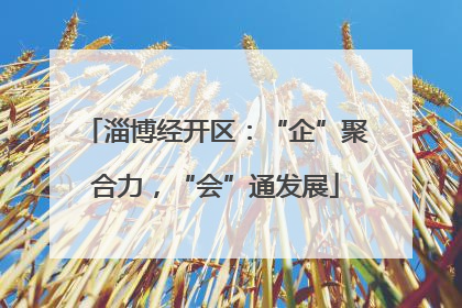 淄博经开区：“企”聚合力，“会”通发展