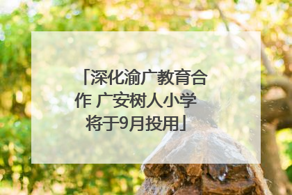 深化渝广教育合作 广安树人小学将于9月投用