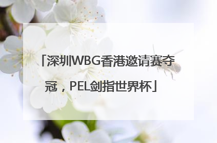 深圳WBG香港邀请赛夺冠，PEL剑指世界杯