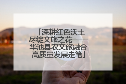 深耕红色沃土 尽绽文旅之花——华池县农文旅融合高质量发展走笔