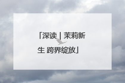 深读｜茉莉新生 跨界绽放