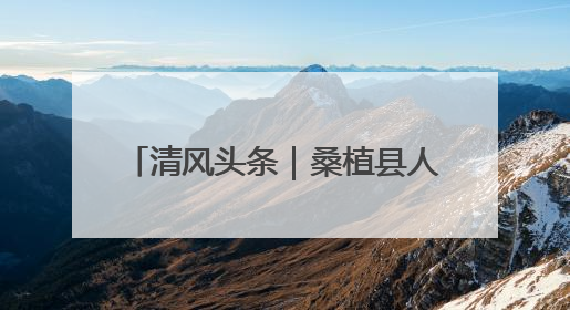 清风头条｜桑植县人潮溪镇：“迟到”5年的生态林补偿金