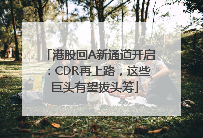 港股回A新通道开启：CDR再上路，这些巨头有望拔头筹
