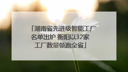 湖南省先进级智能工厂名单出炉 衡阳以32家工厂数量领跑全省