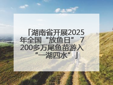 湖南省开展2025年全国“放鱼日” 7200多万尾鱼苗游入“一湖四水”