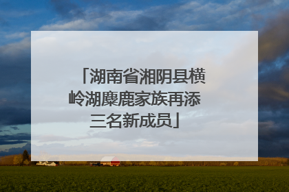 湖南省湘阴县横岭湖麋鹿家族再添三名新成员