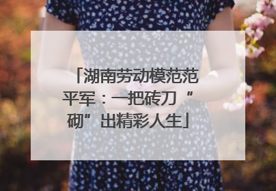湖南劳动模范范平军：一把砖刀“砌”出精彩人生