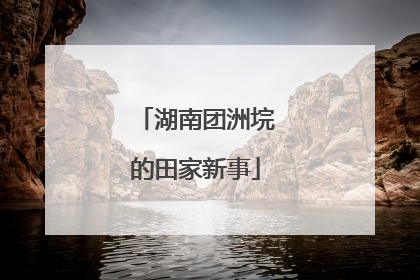 湖南团洲垸的田家新事
