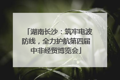 湖南长沙：筑牢电波防线，全力护航第四届中非经贸博览会