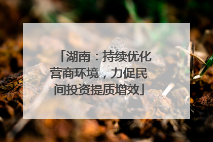 湖南：持续优化营商环境，力促民间投资提质增效