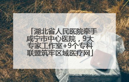 湖北省人民医院牵手咸宁市中心医院，9大专家工作室+9个专科联盟筑牢区域医疗网