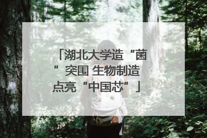 湖北大学造“菌”突围 生物制造点亮“中国芯”