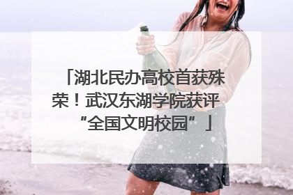 湖北民办高校首获殊荣！武汉东湖学院获评“全国文明校园”