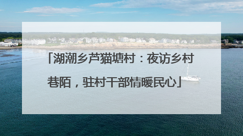 湖潮乡芦猫塘村:夜访乡村巷陌,驻村干部情暖民心
