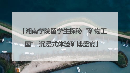 湘南学院留学生探秘“矿物王国” 沉浸式体验矿博盛宴