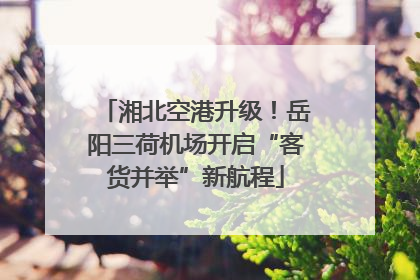 湘北空港升级！岳阳三荷机场开启“客货并举”新航程