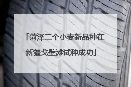 菏泽三个小麦新品种在新疆戈壁滩试种成功