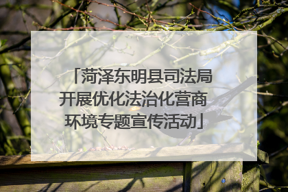 菏泽东明县司法局开展优化法治化营商环境专题宣传活动