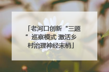 老河口创新“三题”巡察模式 激活乡村治理神经末梢