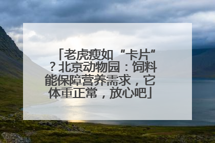 老虎瘦如“卡片”？北京动物园：饲料能保障营养需求，它体重正常，放心吧
