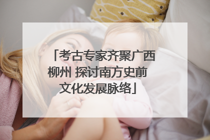 考古专家齐聚广西柳州 探讨南方史前文化发展脉络