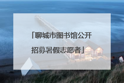 聊城市图书馆公开招募暑假志愿者