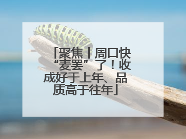 聚焦丨周口快“麦罢”了！收成好于上年、品质高于往年