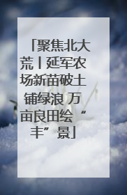 聚焦北大荒丨延军农场新苗破土铺绿浪 万亩良田绘“丰”景
