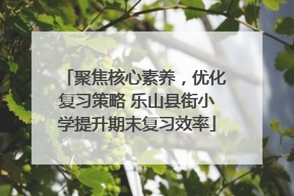 聚焦核心素养，优化复习策略 乐山县街小学提升期末复习效率