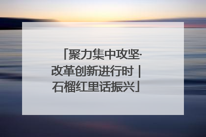 聚力集中攻坚·改革创新进行时｜石榴红里话振兴