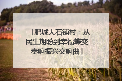 肥城大石铺村：从民生期盼到幸福蝶变奏响振兴交响曲